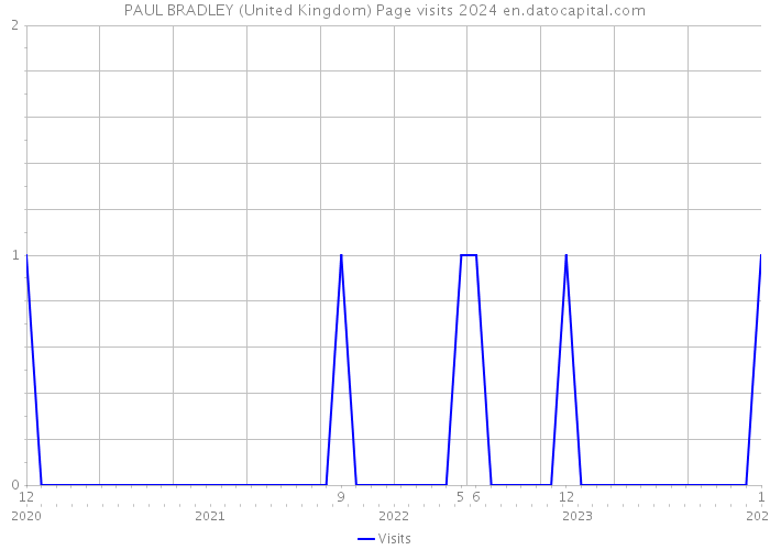 PAUL BRADLEY (United Kingdom) Page visits 2024 
