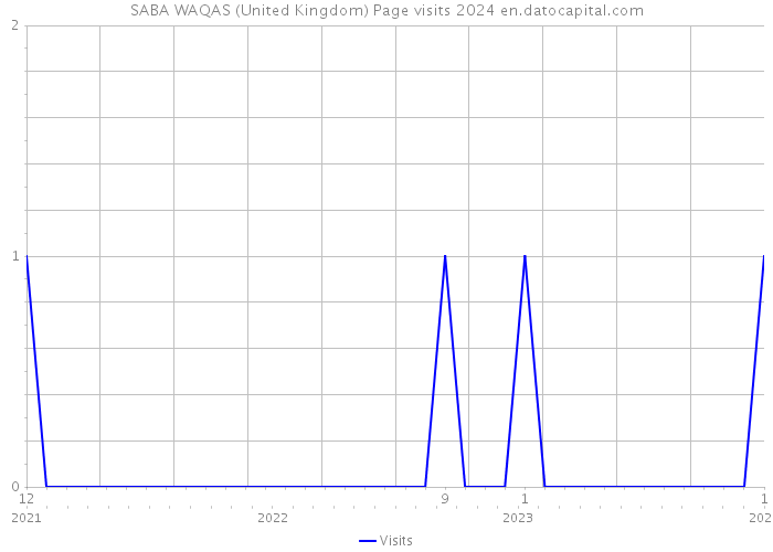 SABA WAQAS (United Kingdom) Page visits 2024 