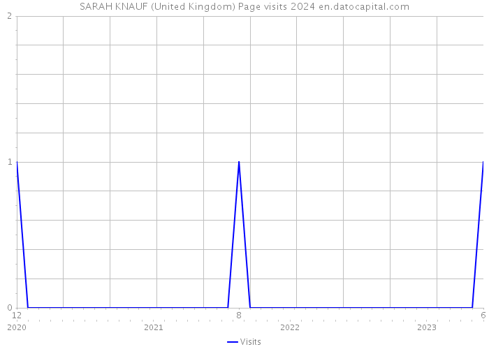 SARAH KNAUF (United Kingdom) Page visits 2024 