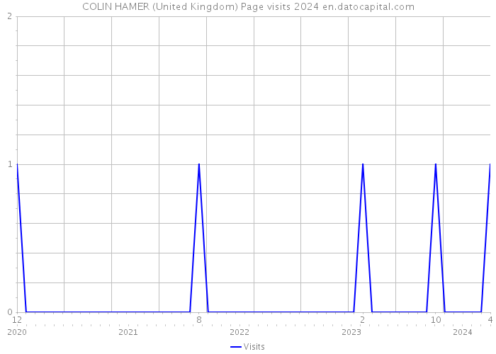 COLIN HAMER (United Kingdom) Page visits 2024 