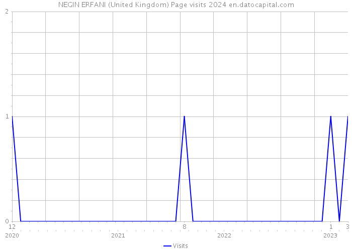 NEGIN ERFANI (United Kingdom) Page visits 2024 