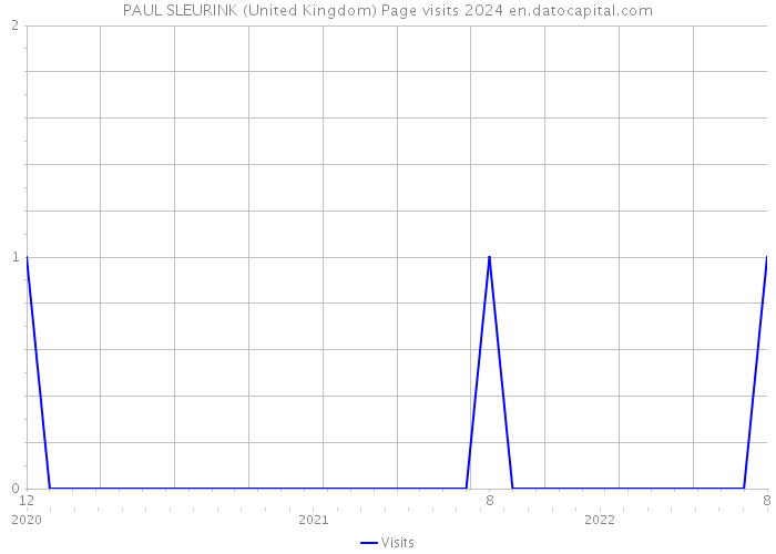 PAUL SLEURINK (United Kingdom) Page visits 2024 