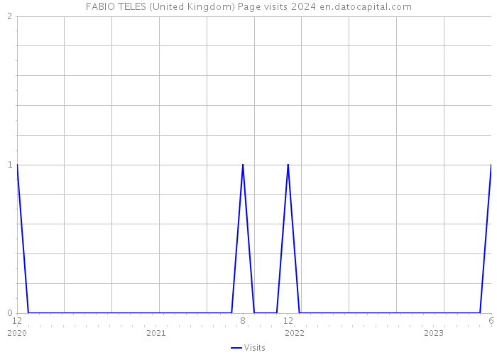 FABIO TELES (United Kingdom) Page visits 2024 