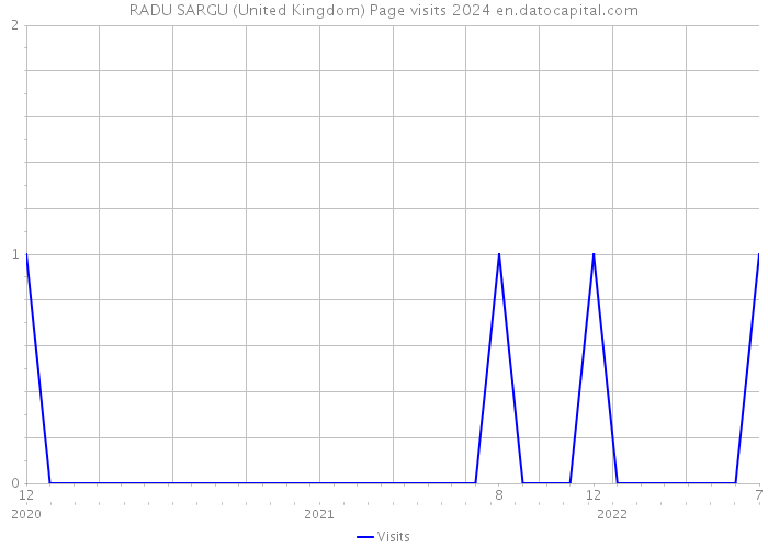 RADU SARGU (United Kingdom) Page visits 2024 