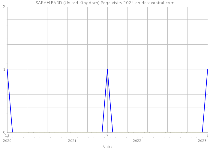 SARAH BARD (United Kingdom) Page visits 2024 