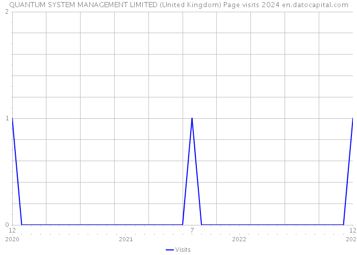 QUANTUM SYSTEM MANAGEMENT LIMITED (United Kingdom) Page visits 2024 