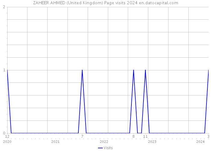 ZAHEER AHMED (United Kingdom) Page visits 2024 