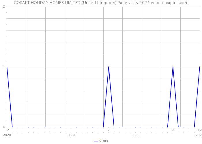 COSALT HOLIDAY HOMES LIMITED (United Kingdom) Page visits 2024 