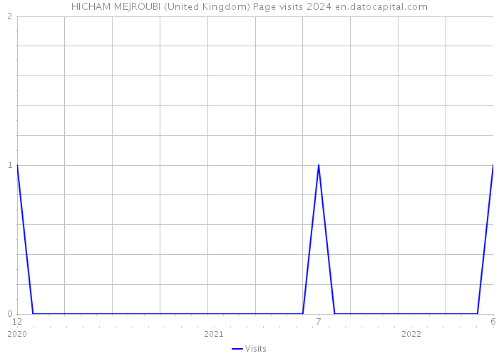 HICHAM MEJROUBI (United Kingdom) Page visits 2024 