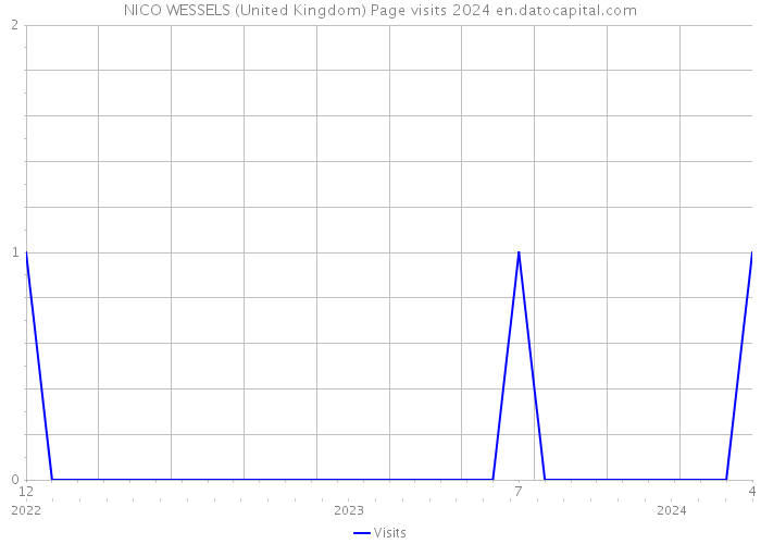 NICO WESSELS (United Kingdom) Page visits 2024 