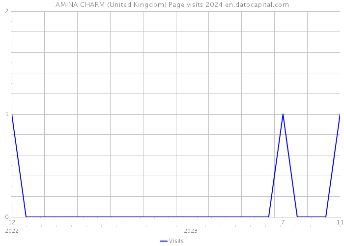 AMINA CHARM (United Kingdom) Page visits 2024 