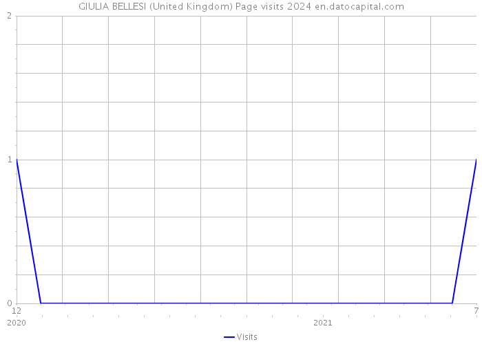 GIULIA BELLESI (United Kingdom) Page visits 2024 