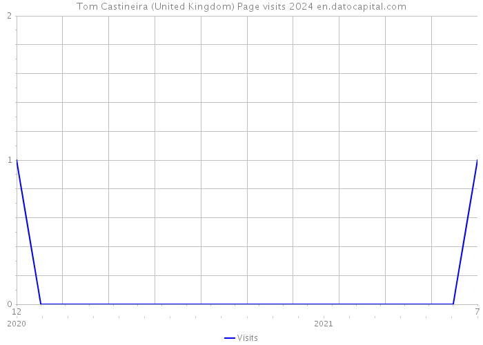 Tom Castineira (United Kingdom) Page visits 2024 