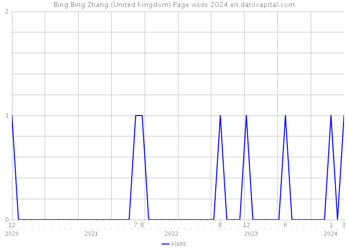 Bing Bing Zhang (United Kingdom) Page visits 2024 