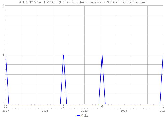 ANTONY MYATT MYATT (United Kingdom) Page visits 2024 