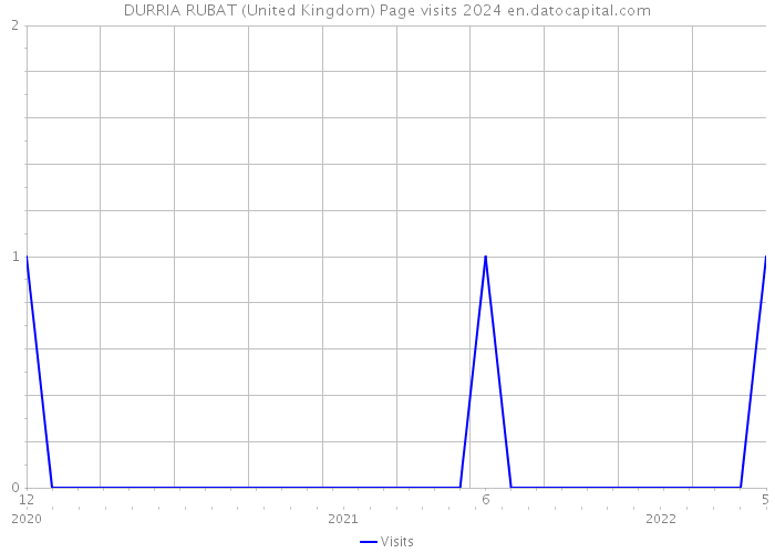 DURRIA RUBAT (United Kingdom) Page visits 2024 