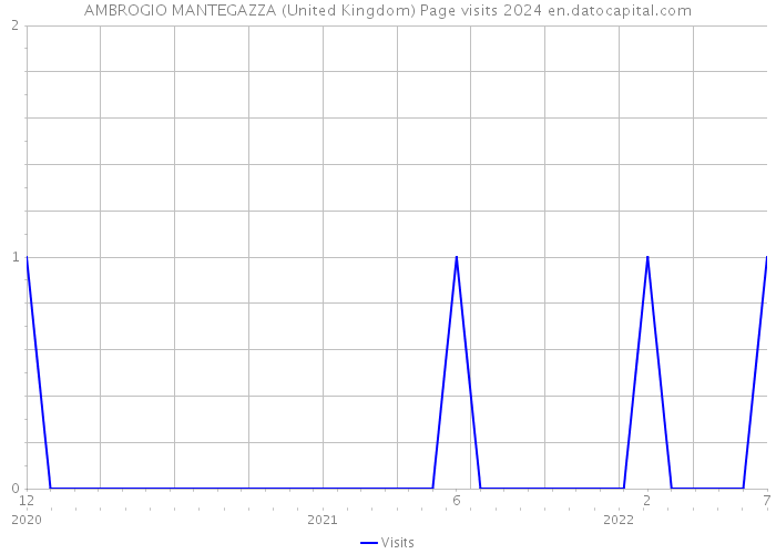AMBROGIO MANTEGAZZA (United Kingdom) Page visits 2024 