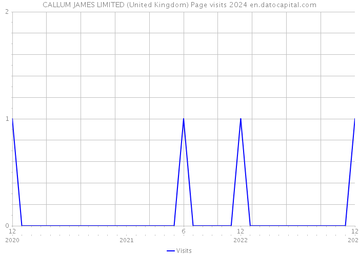 CALLUM JAMES LIMITED (United Kingdom) Page visits 2024 