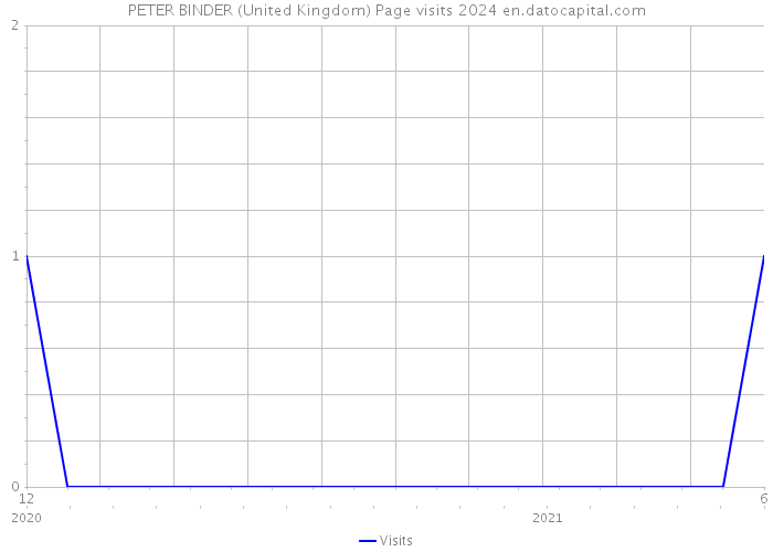 PETER BINDER (United Kingdom) Page visits 2024 