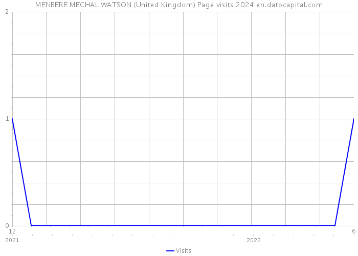MENBERE MECHAL WATSON (United Kingdom) Page visits 2024 