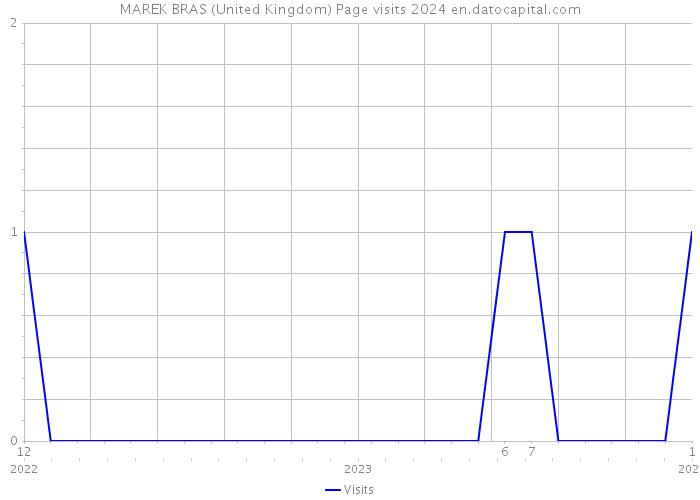 MAREK BRAS (United Kingdom) Page visits 2024 
