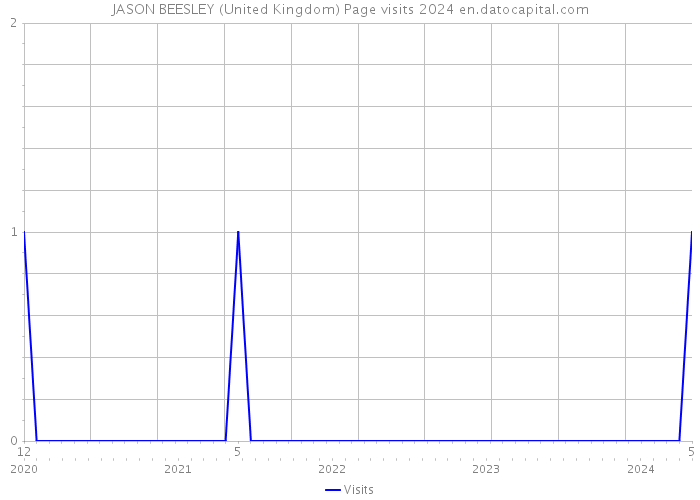 JASON BEESLEY (United Kingdom) Page visits 2024 