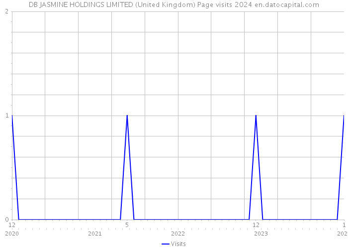 DB JASMINE HOLDINGS LIMITED (United Kingdom) Page visits 2024 