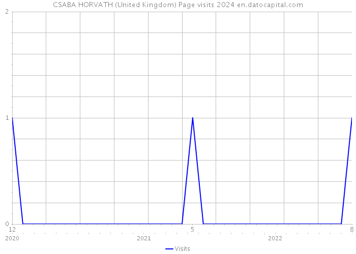 CSABA HORVATH (United Kingdom) Page visits 2024 