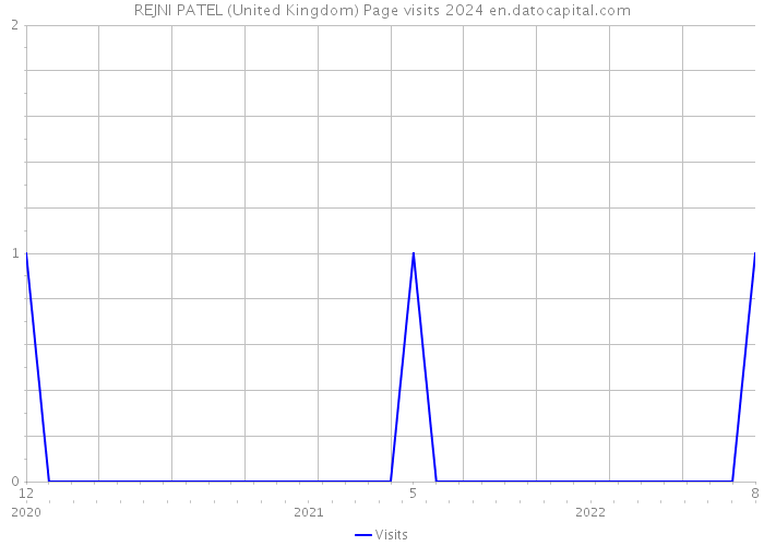REJNI PATEL (United Kingdom) Page visits 2024 