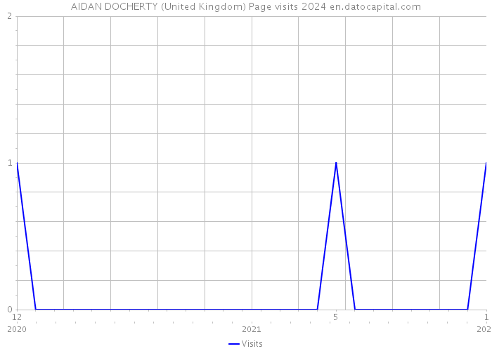 AIDAN DOCHERTY (United Kingdom) Page visits 2024 