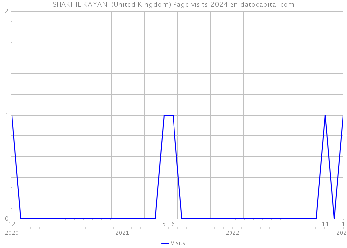 SHAKHIL KAYANI (United Kingdom) Page visits 2024 