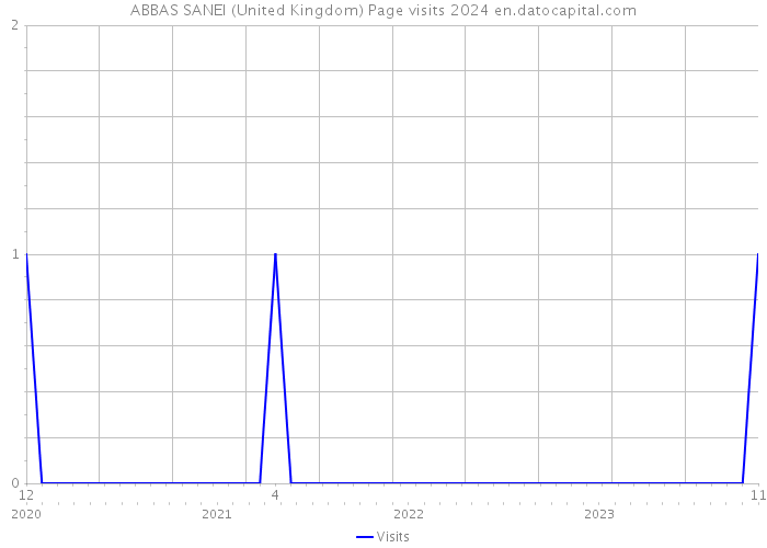 ABBAS SANEI (United Kingdom) Page visits 2024 