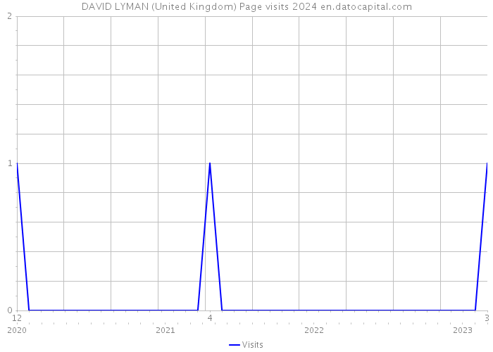 DAVID LYMAN (United Kingdom) Page visits 2024 