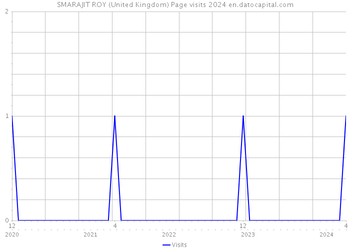 SMARAJIT ROY (United Kingdom) Page visits 2024 