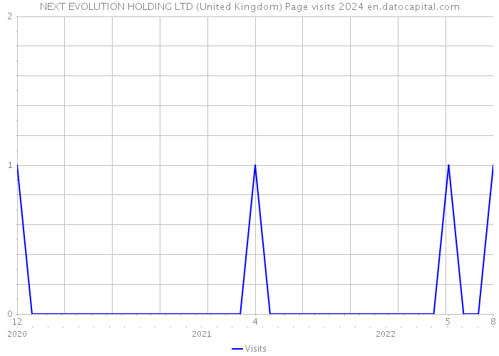 NEXT EVOLUTION HOLDING LTD (United Kingdom) Page visits 2024 