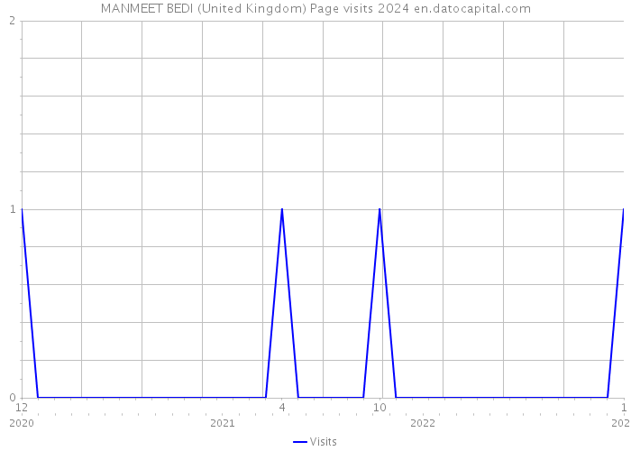MANMEET BEDI (United Kingdom) Page visits 2024 