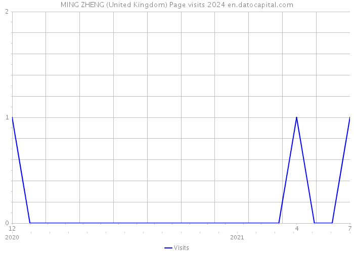 MING ZHENG (United Kingdom) Page visits 2024 