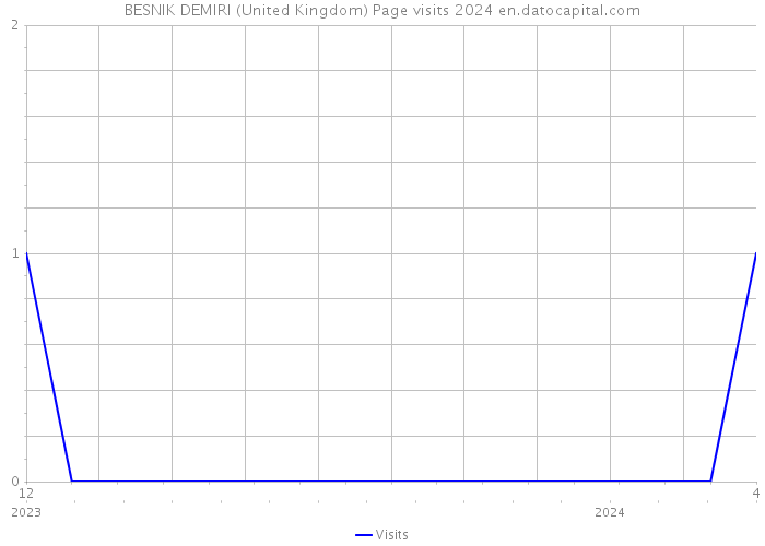 BESNIK DEMIRI (United Kingdom) Page visits 2024 