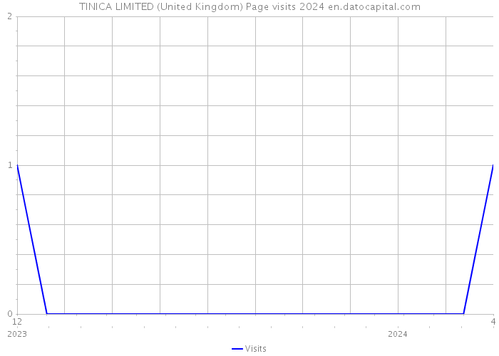 TINICA LIMITED (United Kingdom) Page visits 2024 