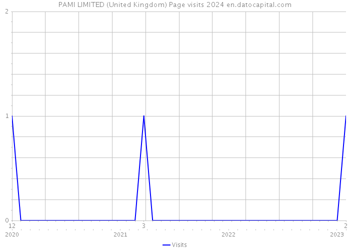 PAMI LIMITED (United Kingdom) Page visits 2024 