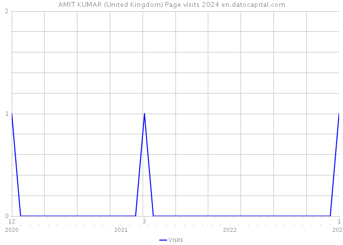 AMIT KUMAR (United Kingdom) Page visits 2024 
