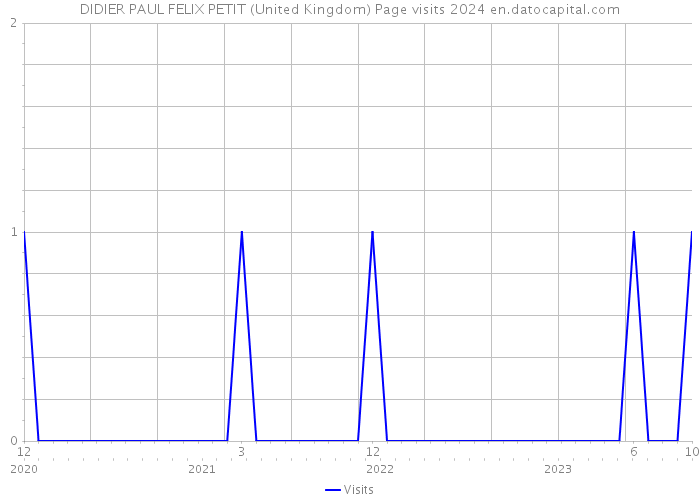 DIDIER PAUL FELIX PETIT (United Kingdom) Page visits 2024 