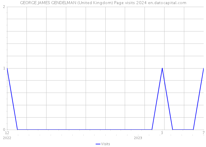 GEORGE JAMES GENDELMAN (United Kingdom) Page visits 2024 