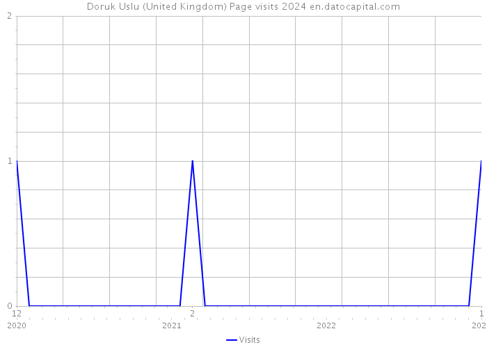Doruk Uslu (United Kingdom) Page visits 2024 
