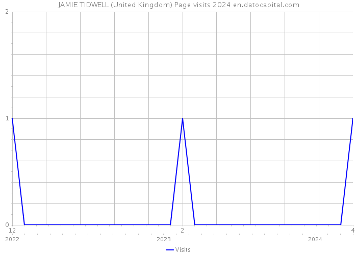 JAMIE TIDWELL (United Kingdom) Page visits 2024 