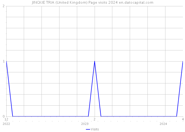 JINGKIE TRIA (United Kingdom) Page visits 2024 
