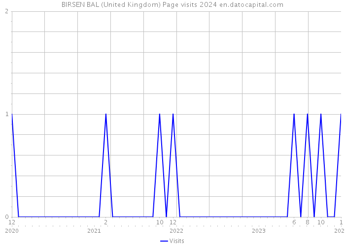 BIRSEN BAL (United Kingdom) Page visits 2024 