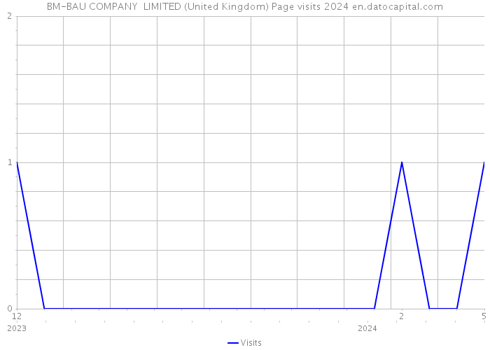 BM-BAU COMPANY LIMITED (United Kingdom) Page visits 2024 
