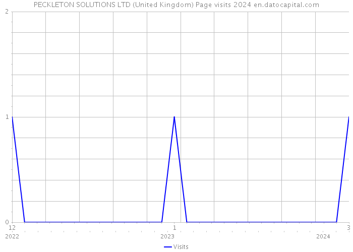 PECKLETON SOLUTIONS LTD (United Kingdom) Page visits 2024 