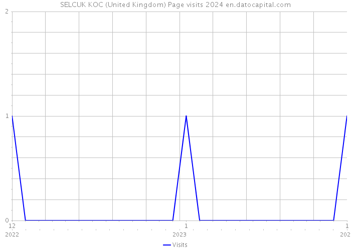SELCUK KOC (United Kingdom) Page visits 2024 